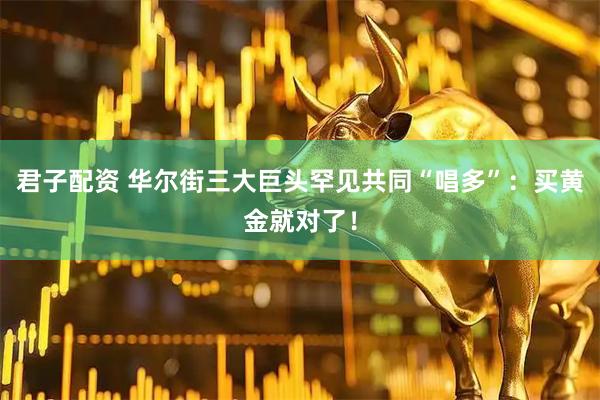 君子配资 华尔街三大巨头罕见共同“唱多”：买黄金就对了！