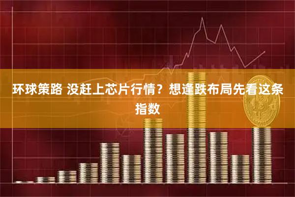 环球策路 没赶上芯片行情？想逢跌布局先看这条指数